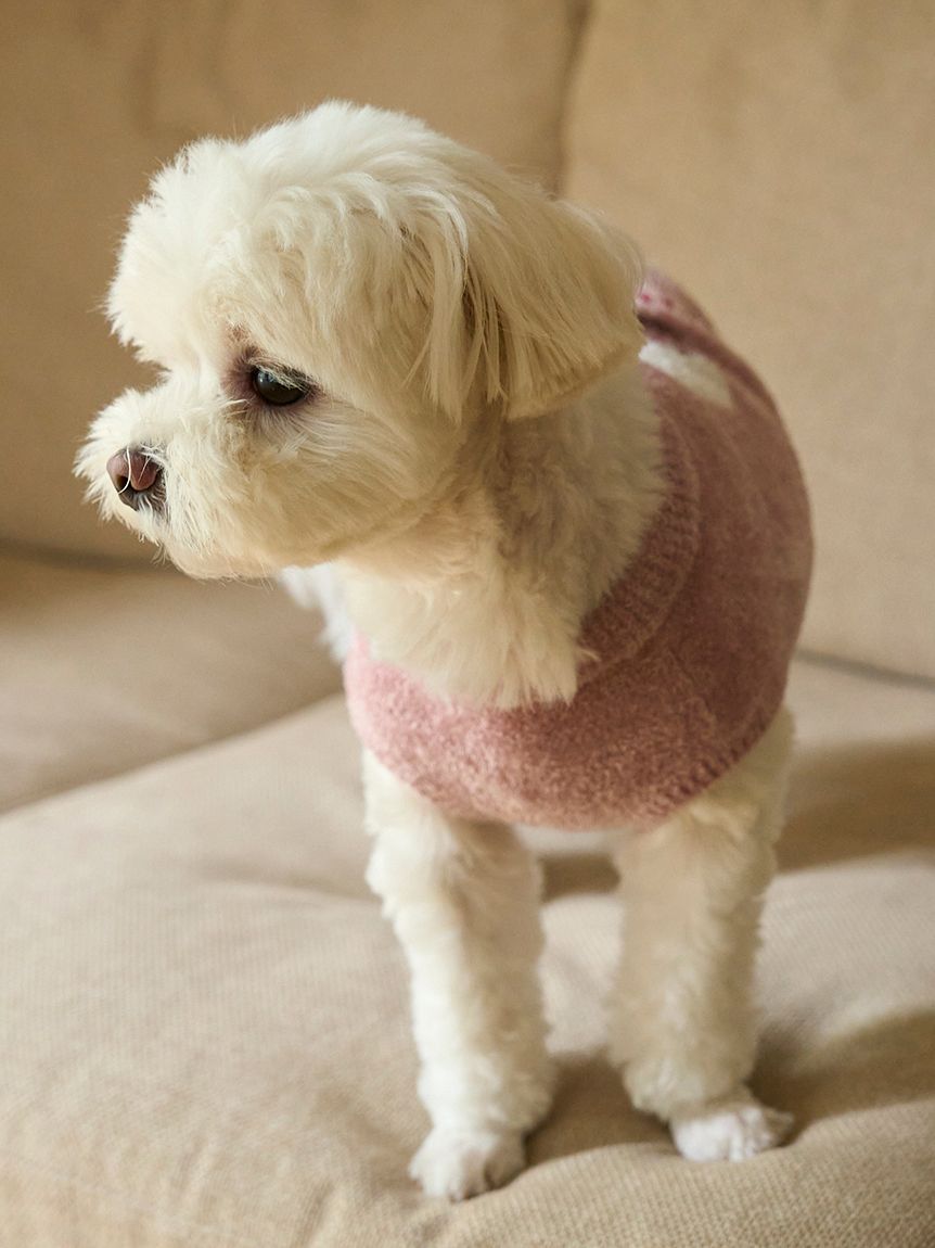 CAT&DOG Cupcake Sleeveless Pet Clothes