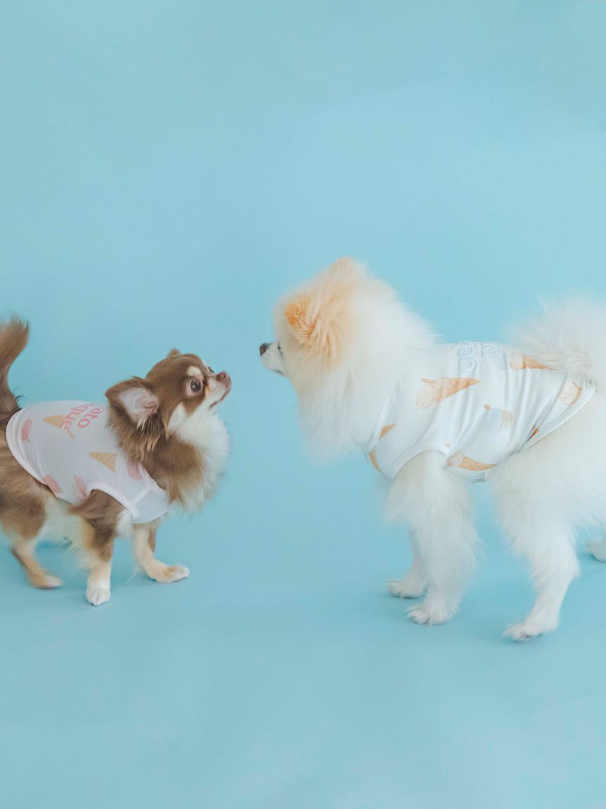 CAT&DOG Ice Pattern COOL Pet Clothes