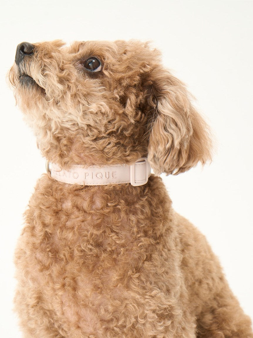 CAT&DOG Pet Safe Collar