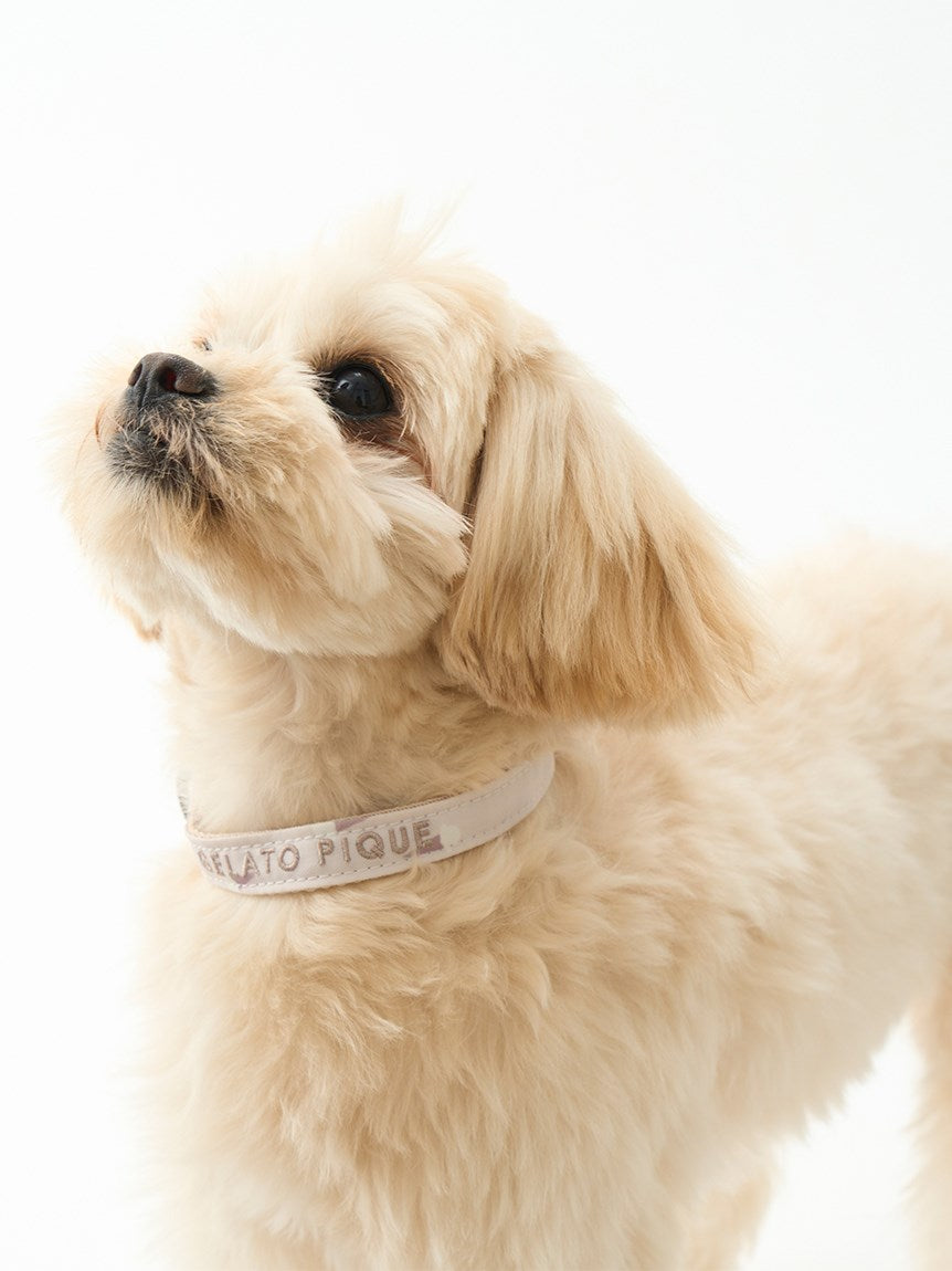 CAT&DOG Strawberry & Ice cream Motif Pet Safe Collar