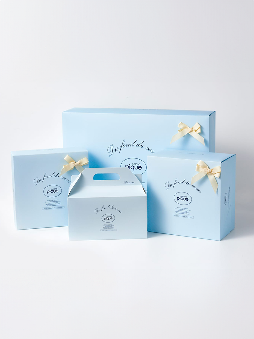Gift Box Packaging S-L Box