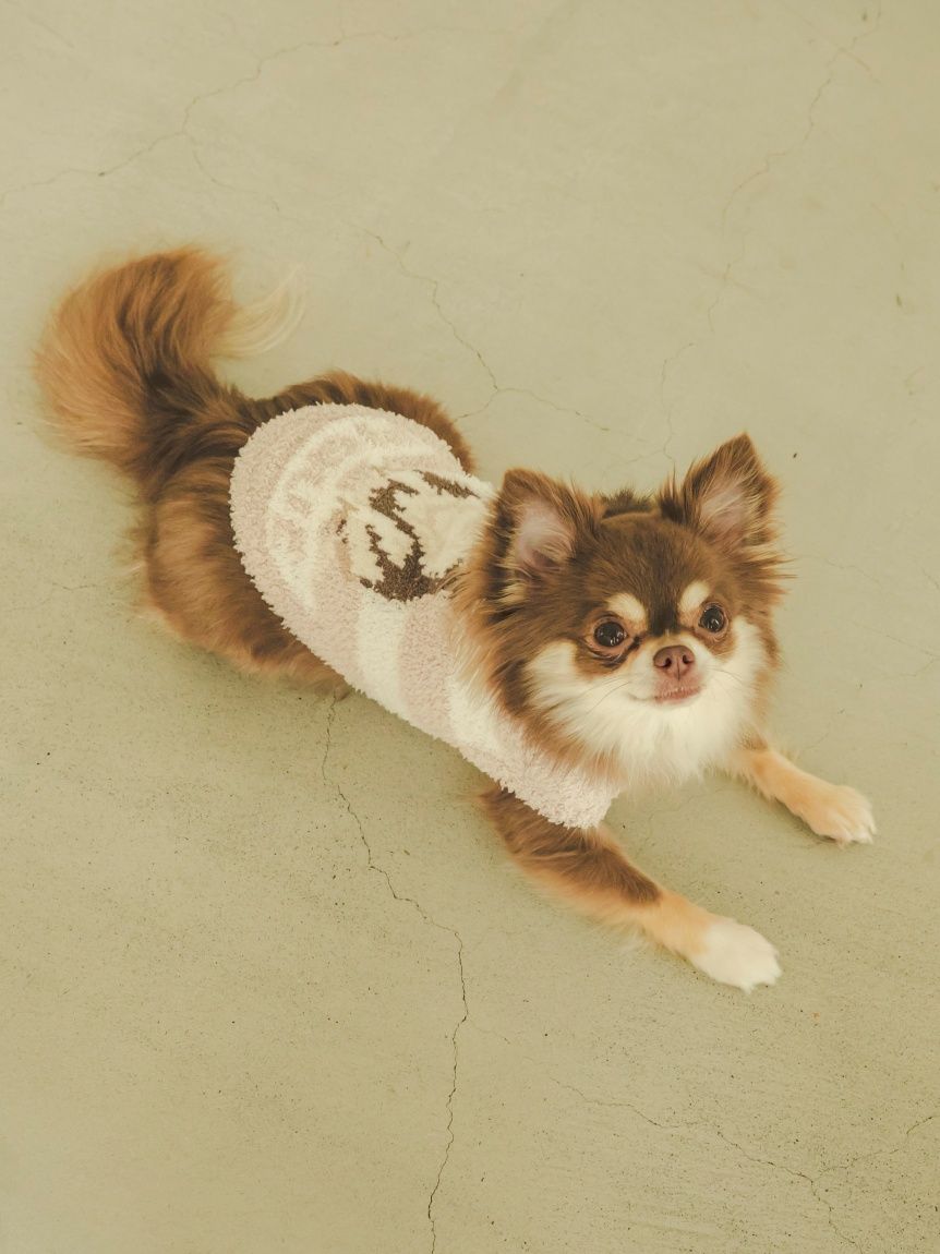 CAT&DOG Baby Moco Chihuahua Pet Clothes