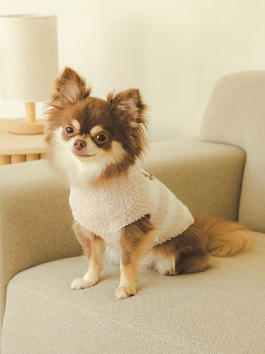 CAT&DOG Baby Moco Chihuahua Pet Clothes